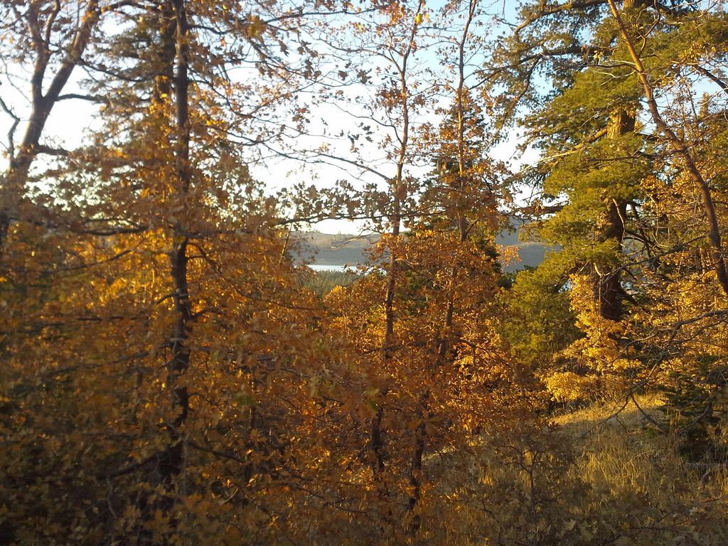 Hillcrest Suites & Cabins Big Bear Lake Ngoại thất bức ảnh